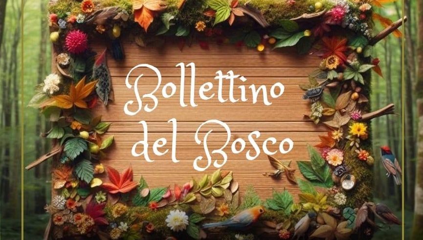 Calendario incontri