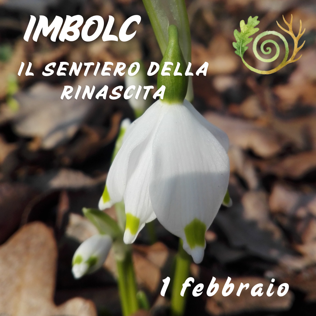 imbolc locandina