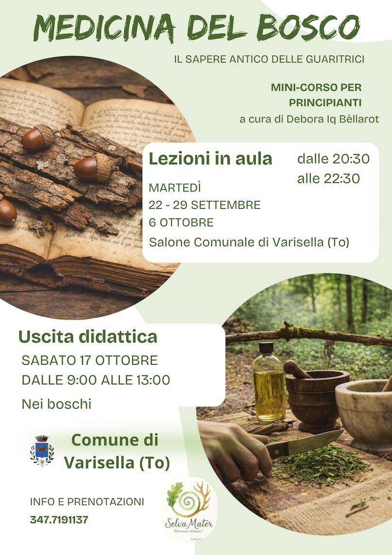 levone varisella locandina 7