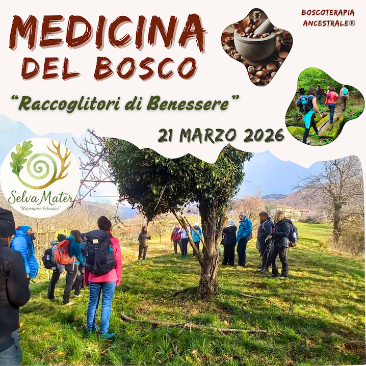 medicina del bosco 21 marzo