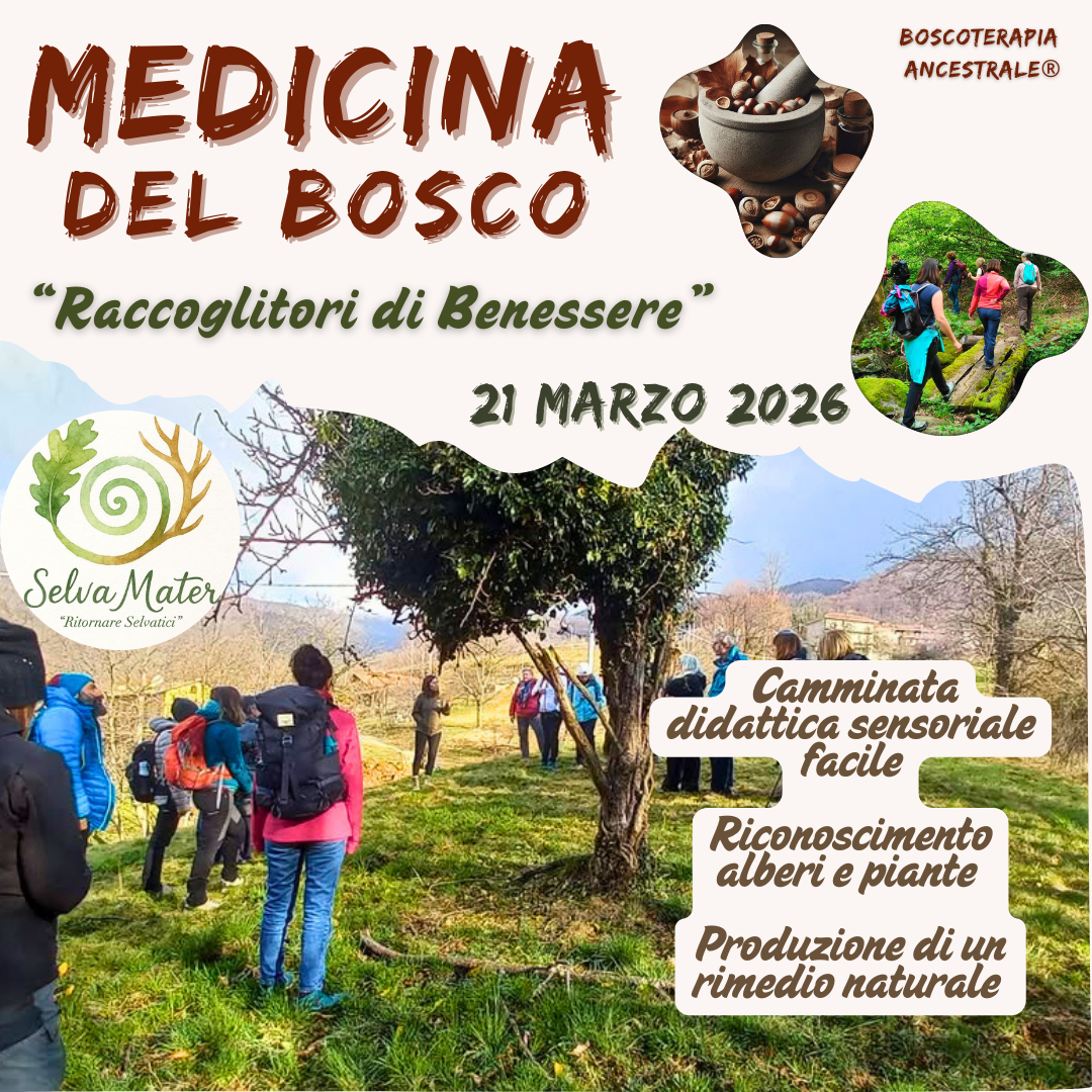 medicina del bosco facebook