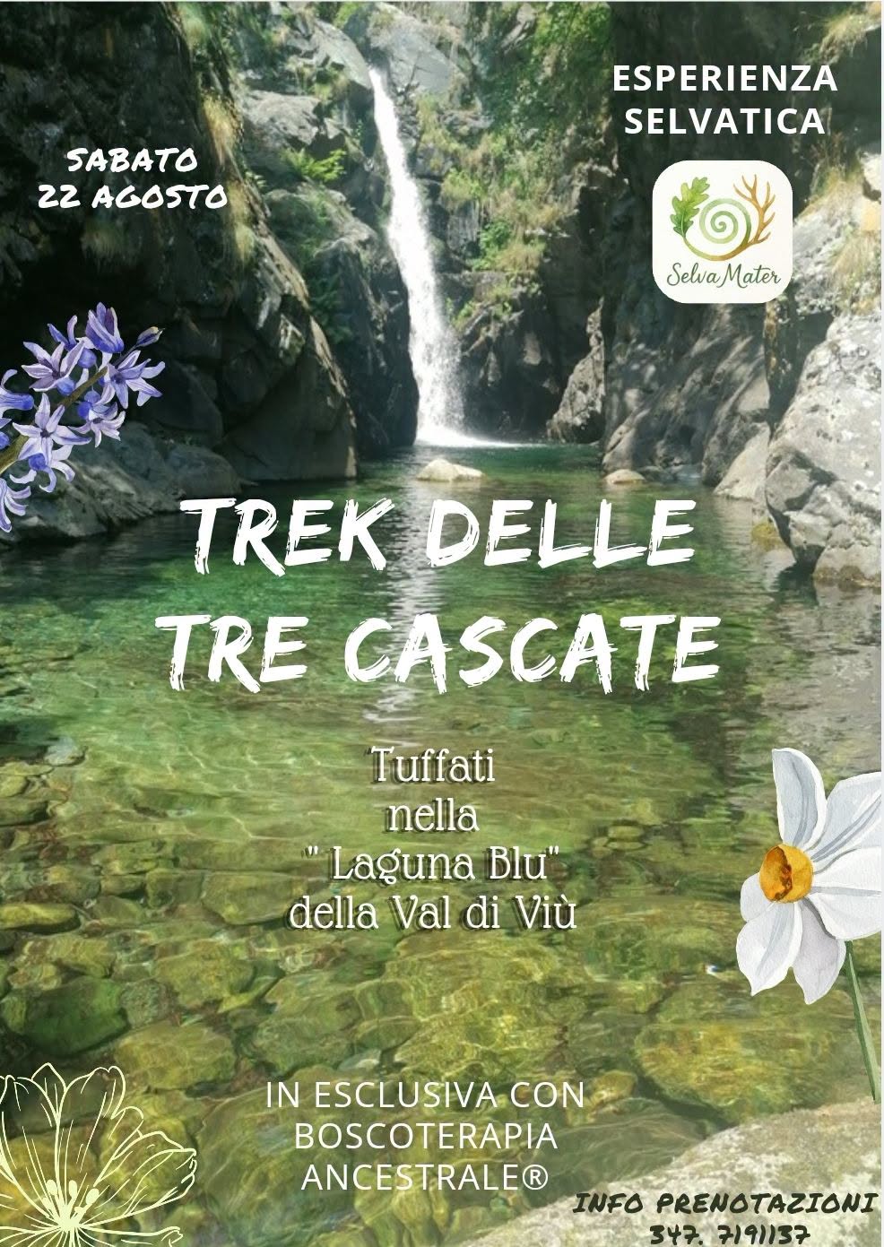 locandina cascate val di viù
