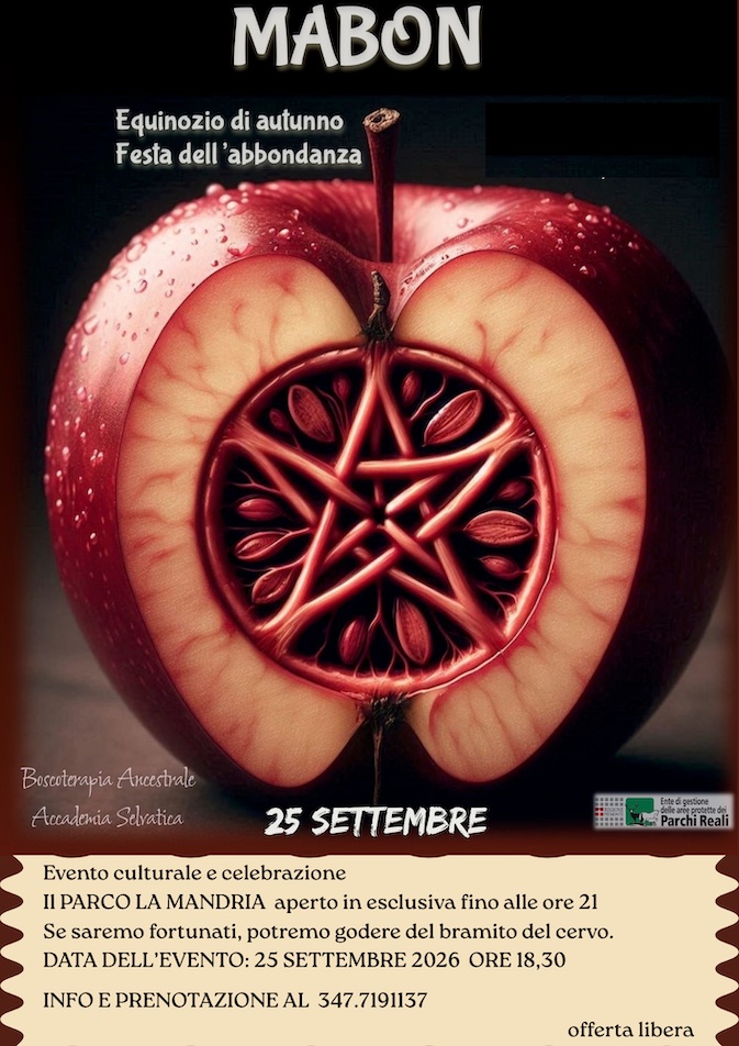 levone varisella locandina 8
